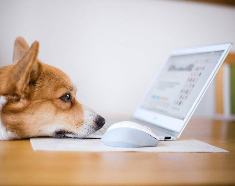 5 reasons to outsource website maintenance